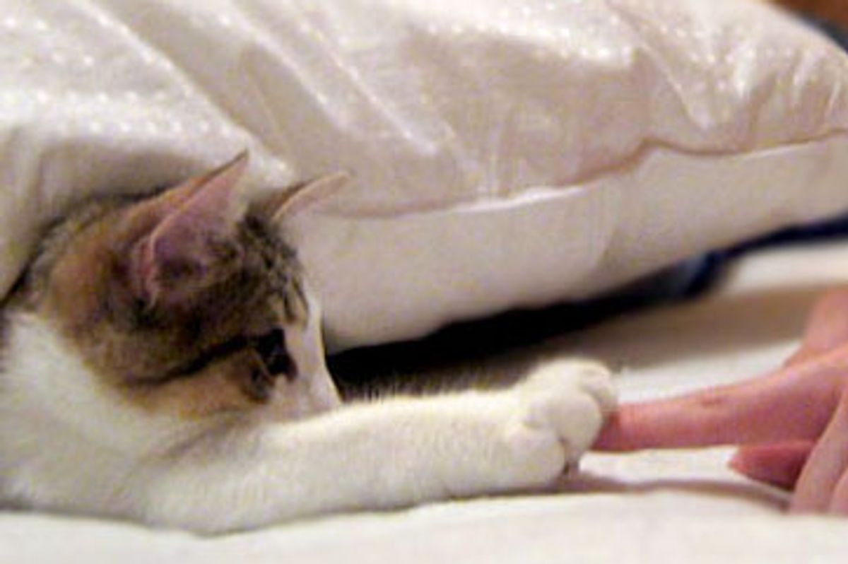 Winston the First and Ruby the Runt