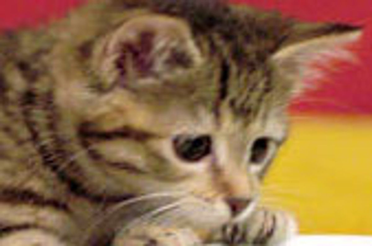 Flynn and Meadow, Little Brother and Sister Duo