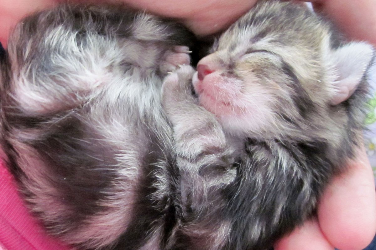 Little Bundle of Joy