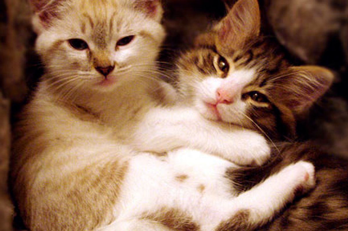 Inseparable Furiends, Edgar and Agatha