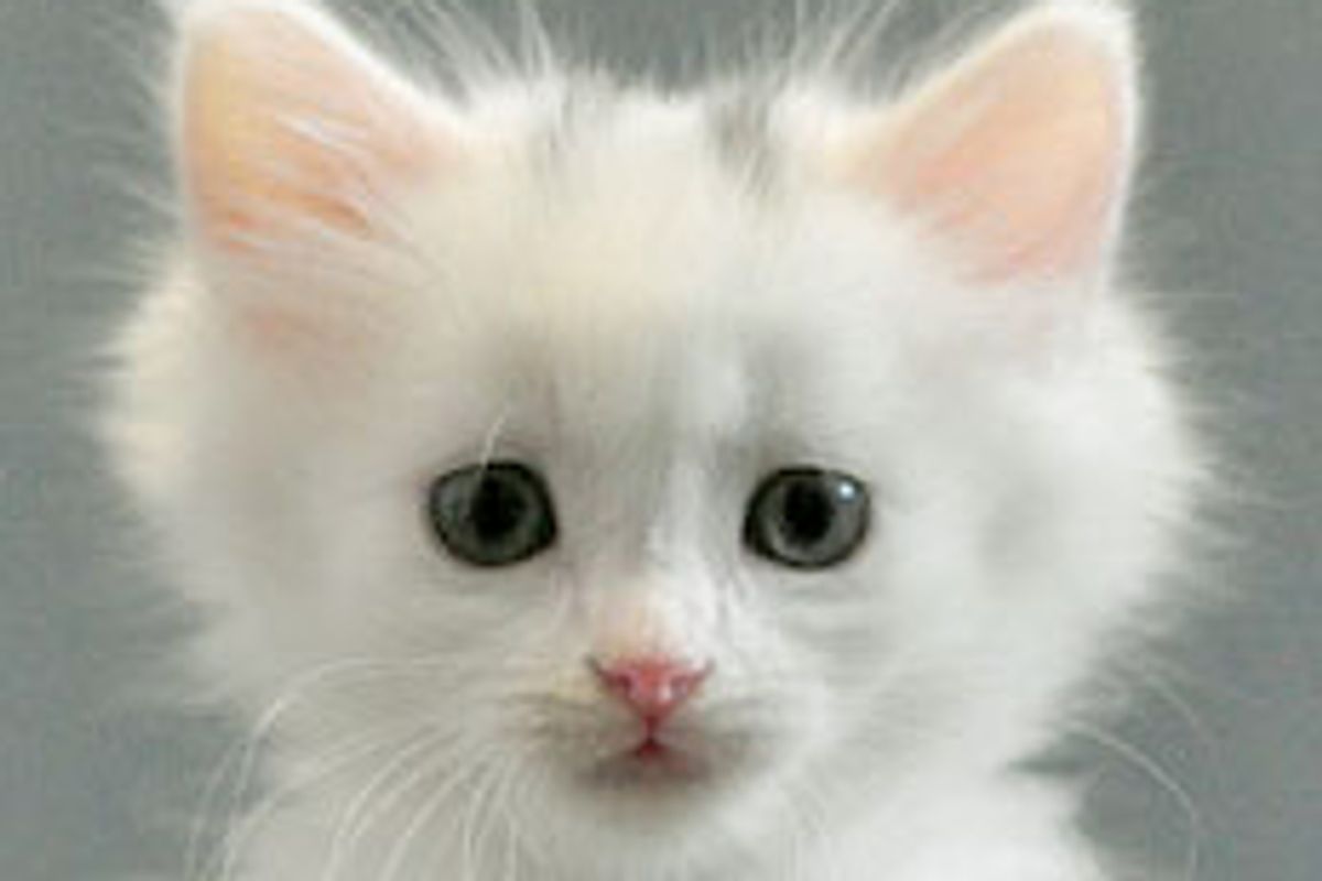 Lemoni the Snow White Princess