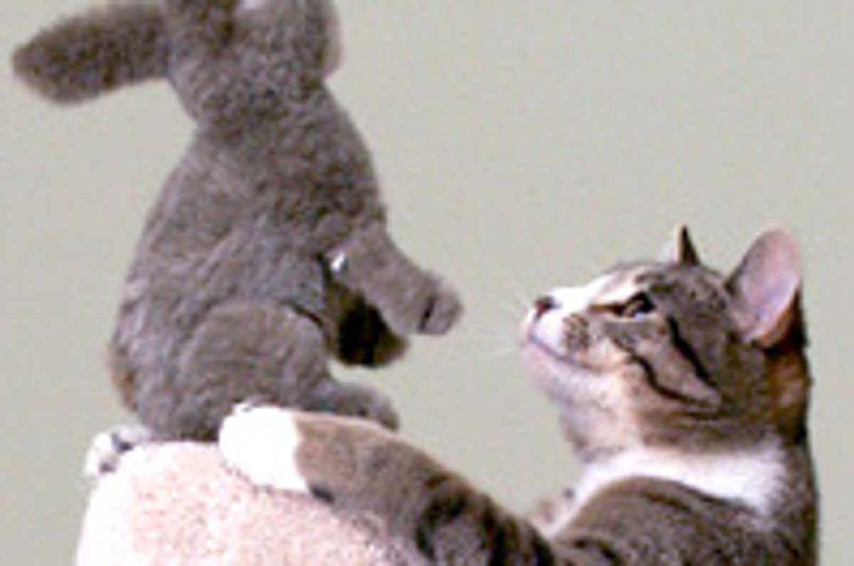 Ozzy the Cat and Her Tolerant Bunny