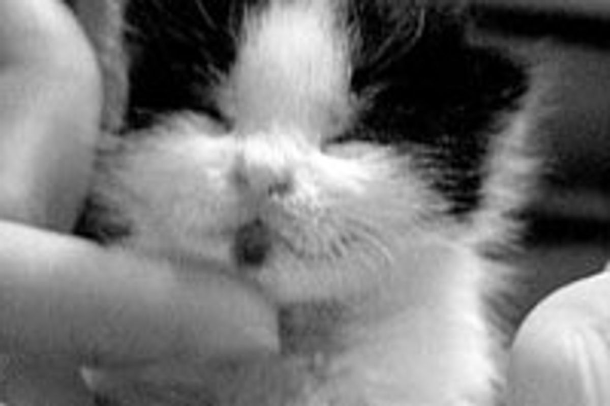 Tiny Bundle of Joy Found Home