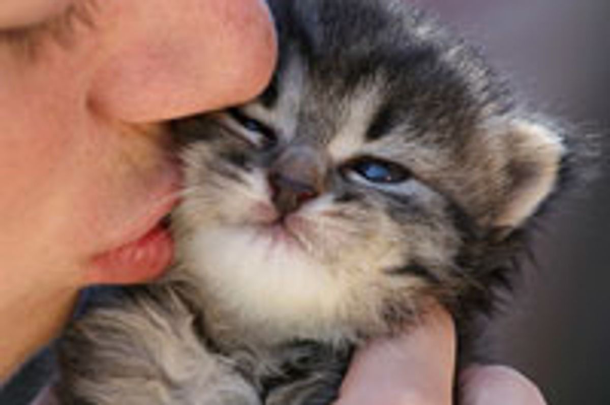 Precious Little Fosters