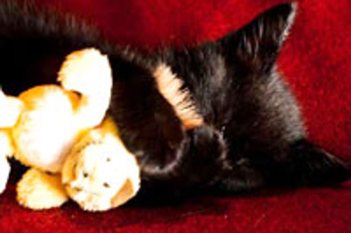 Bella and Her Best Friend Lion-O