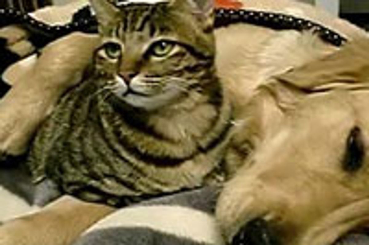 Best of Friends