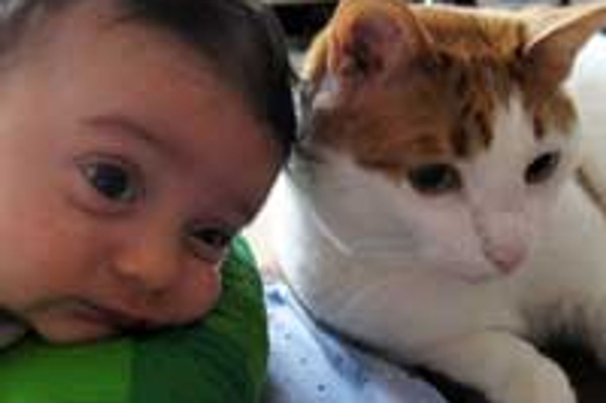 Friendship from Birth - Kitty & Baby