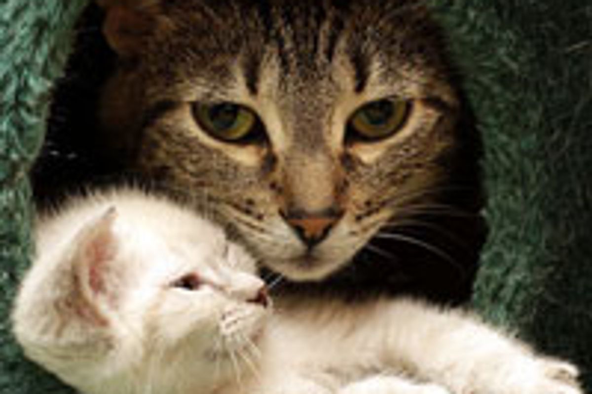 Inseparable Furiends