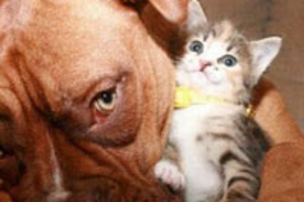 You are My BFF!