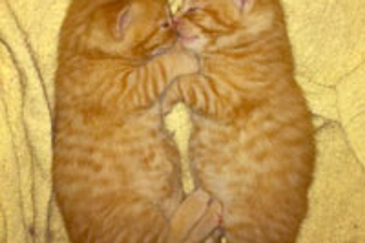 Two Cuddly Ginger Brothers, Then and Now