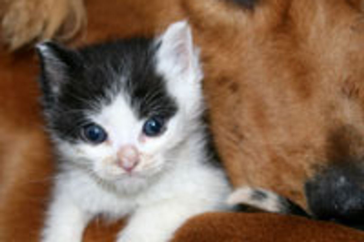 Feeling Loved and Protected