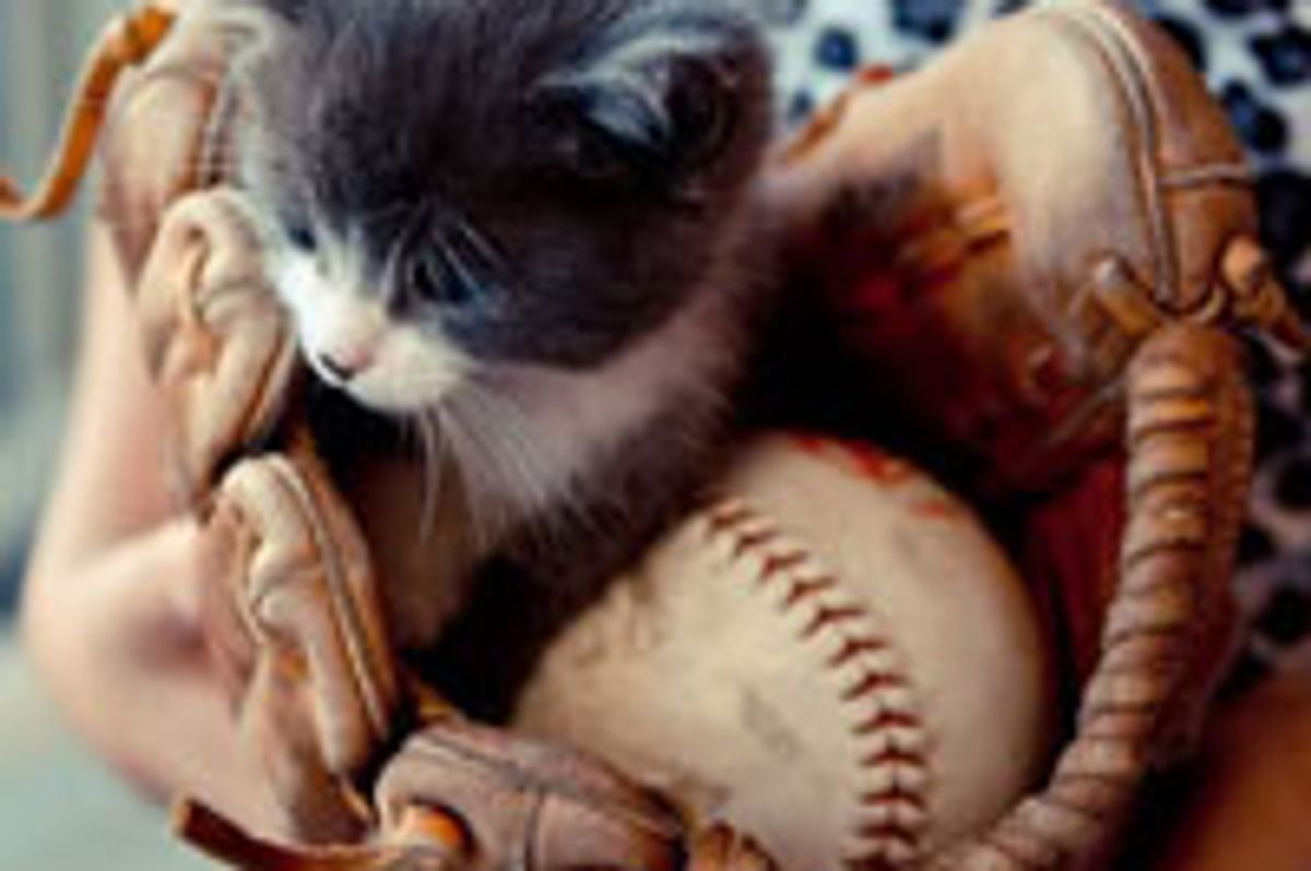 Little White Mitten Kitty Found Bliss