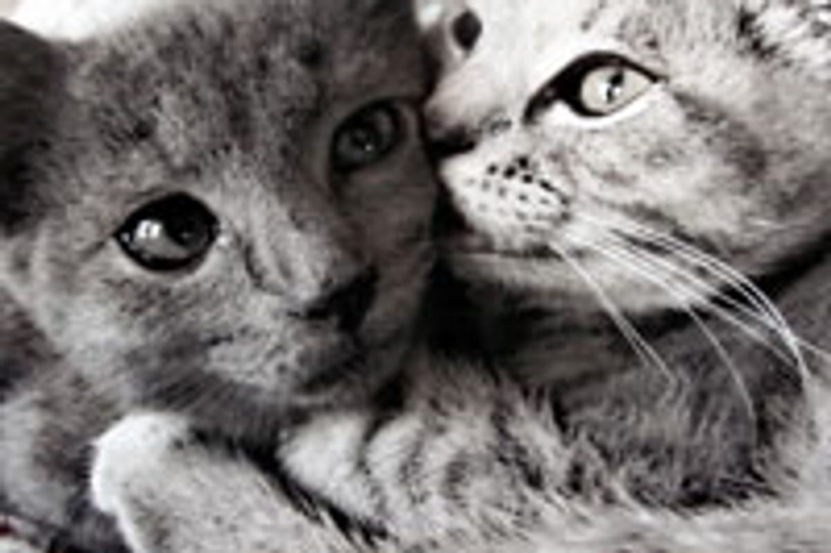 Kiss on the Cheek
