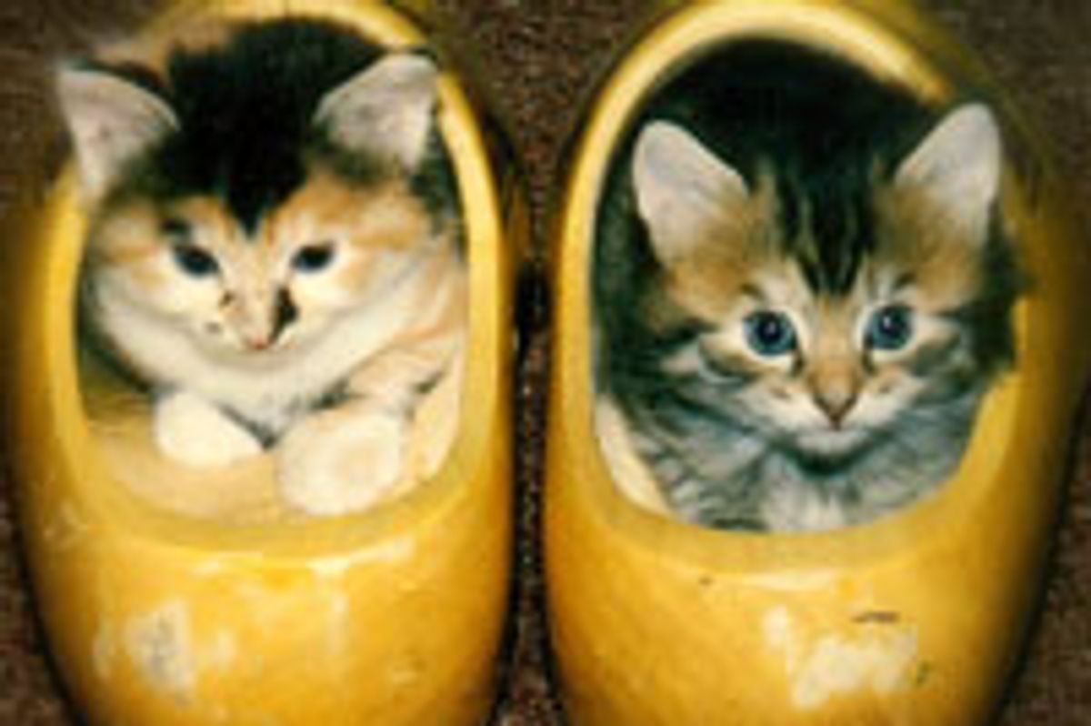The Clog Kitties