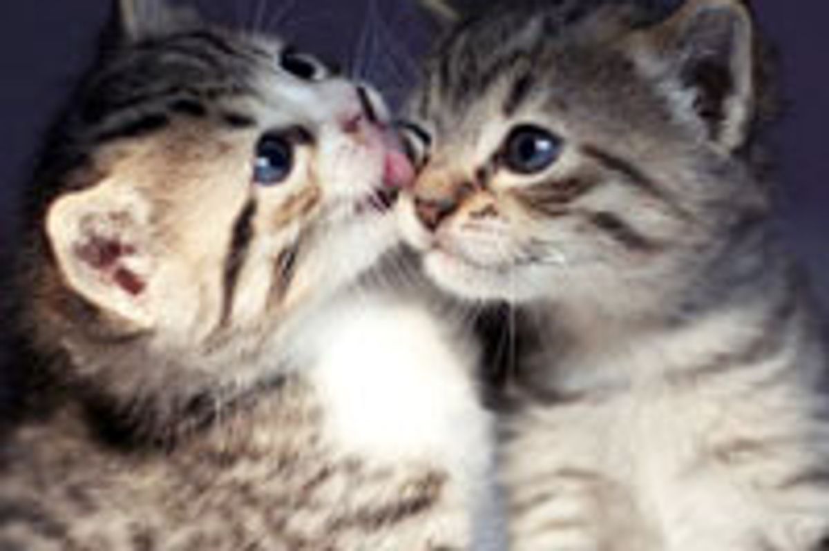 Snuggles, Kisses and Hugs