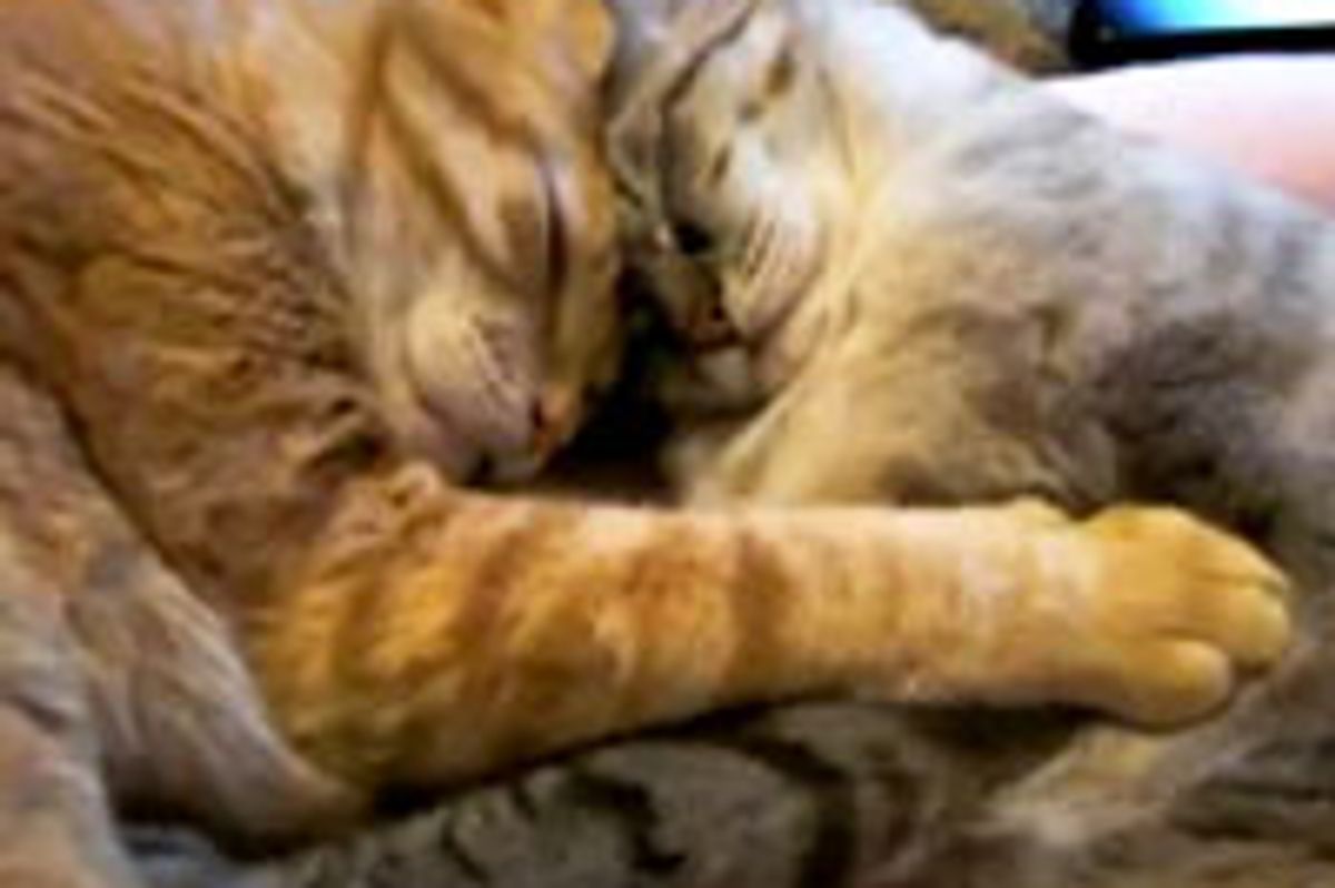 2 Sleepy Lovey Friends