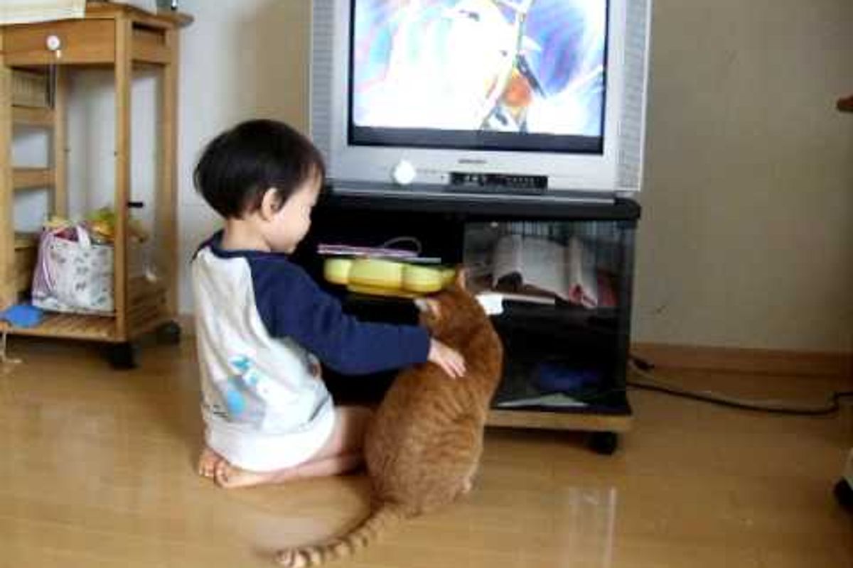 Kitty Shares TV with Little Toddler