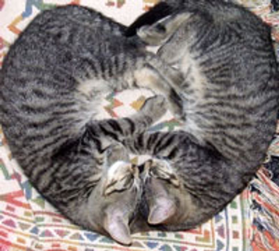 When Two Hearts Become One