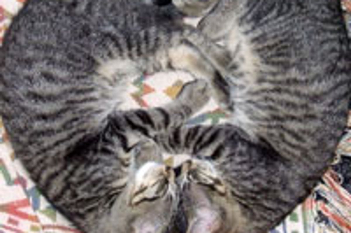 When Two Hearts Become One