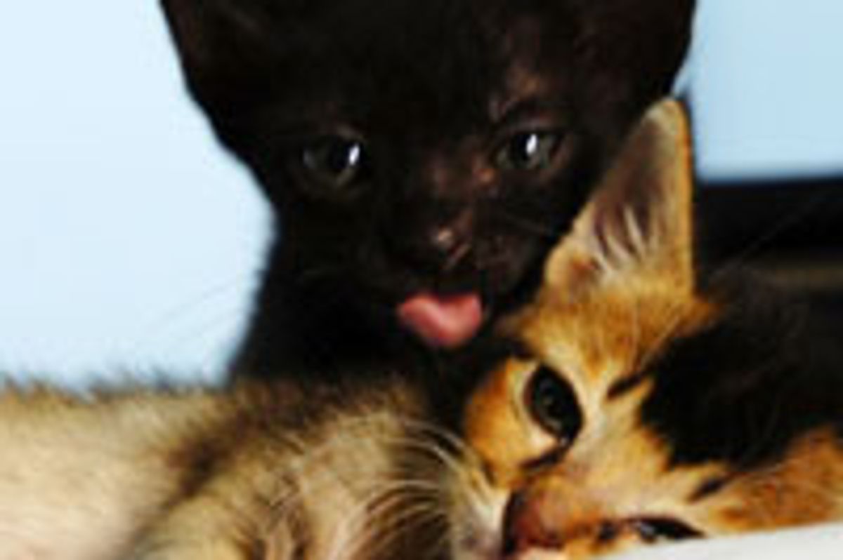 Sisters Forever and Ever