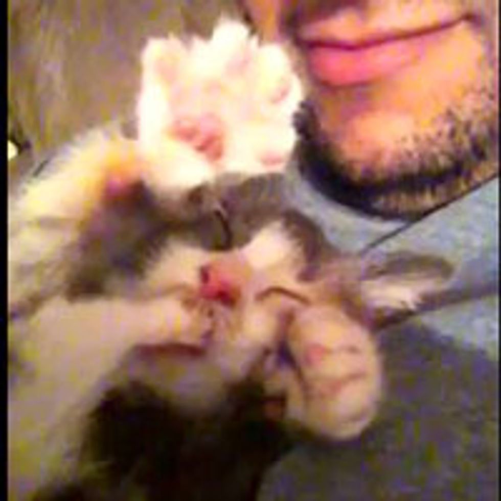 Teeny Tiny Toe-Sucking Kitty
