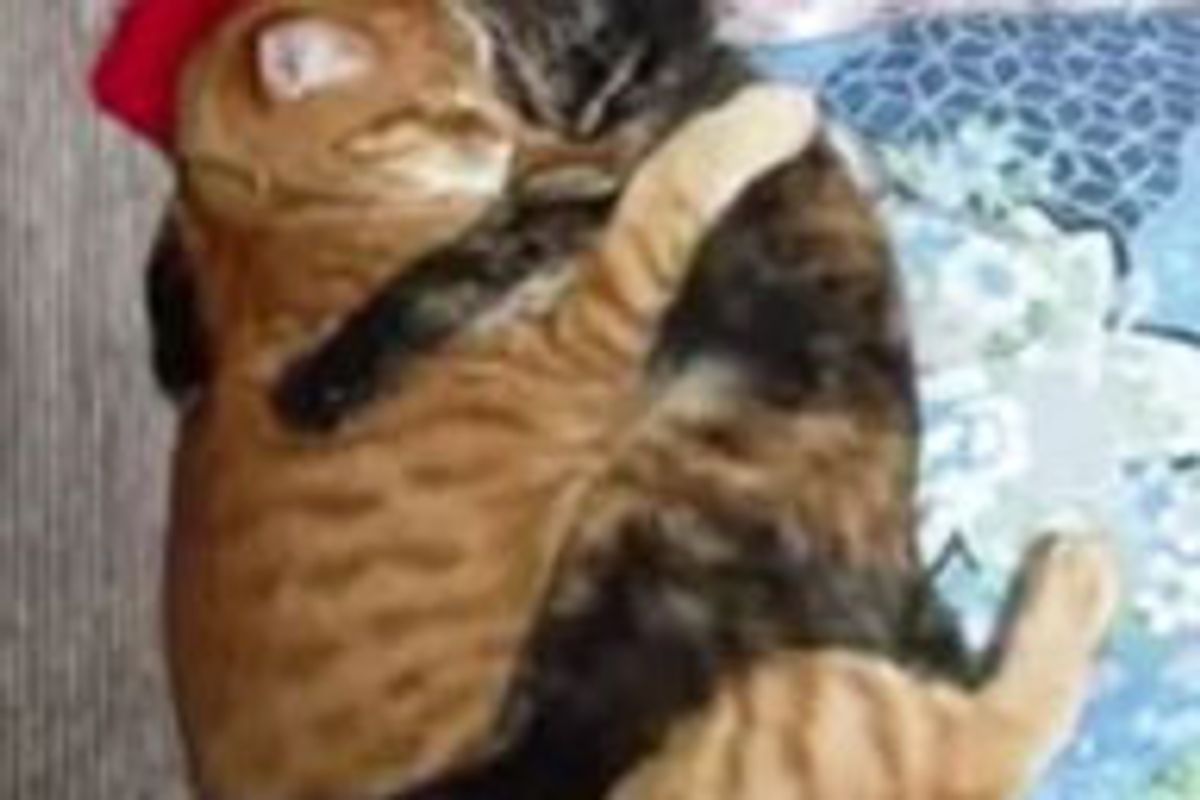 Inseparable Cuddly Best of Furiends