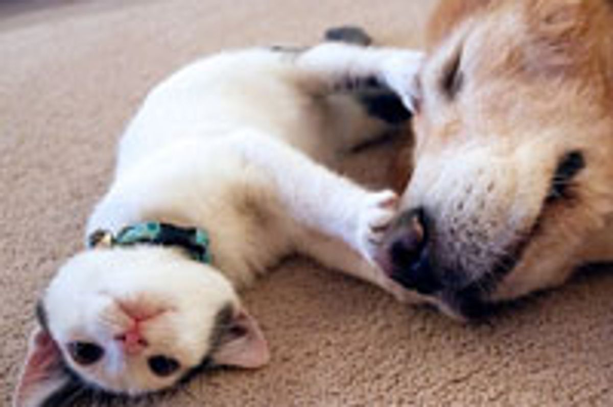 A Friend to Hold On To