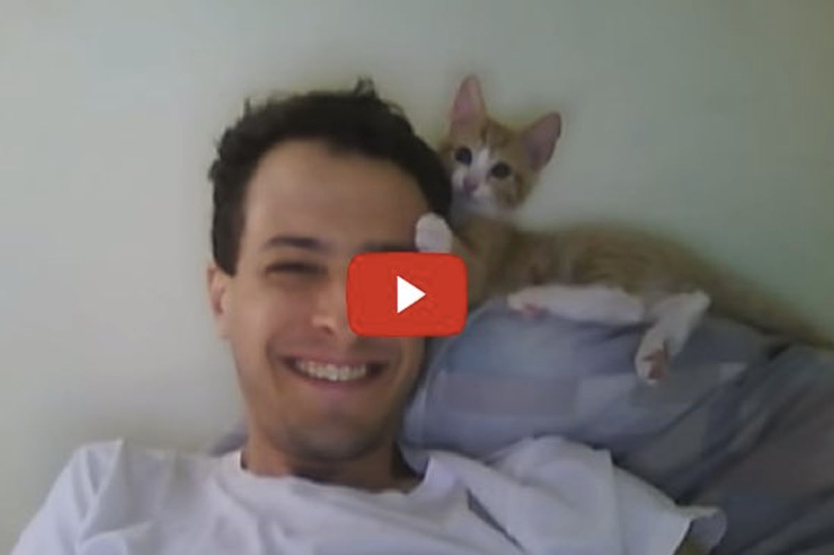 Cute Kitty Grooms Human Dad's Hair