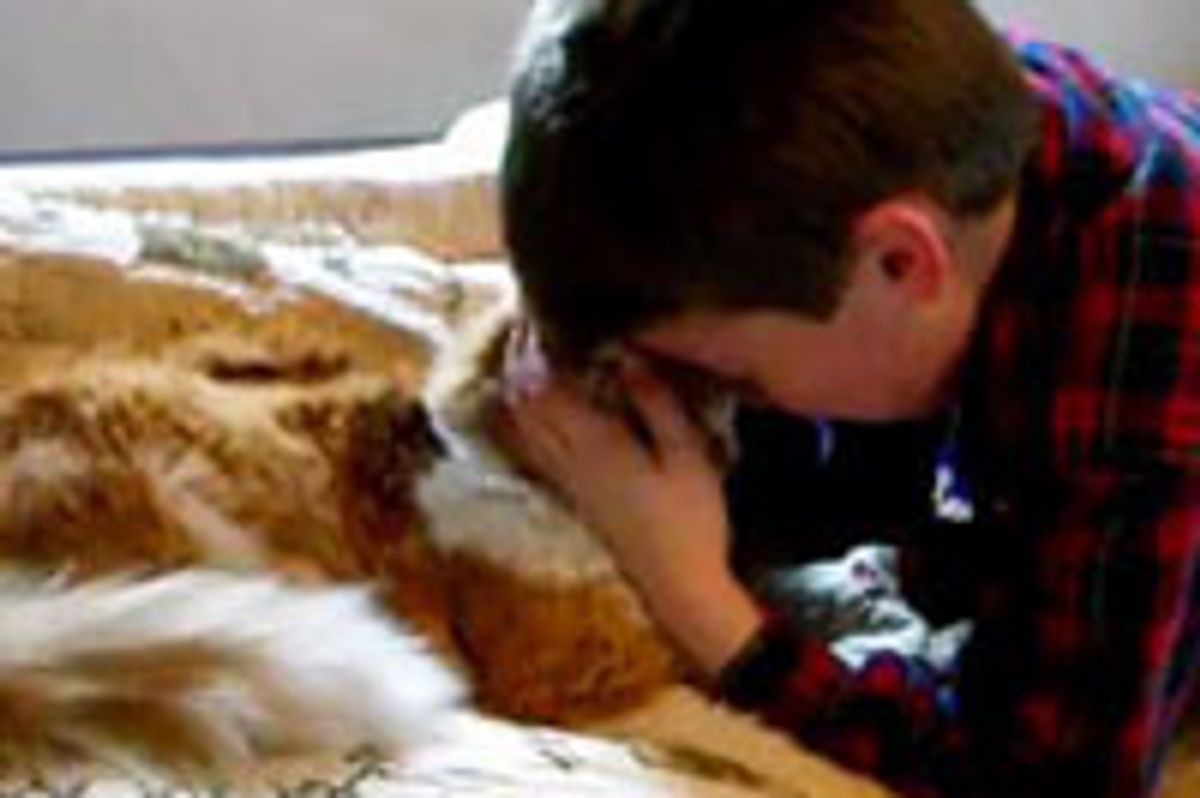 10-Year-Old Boy Reunites With Missing Kitty