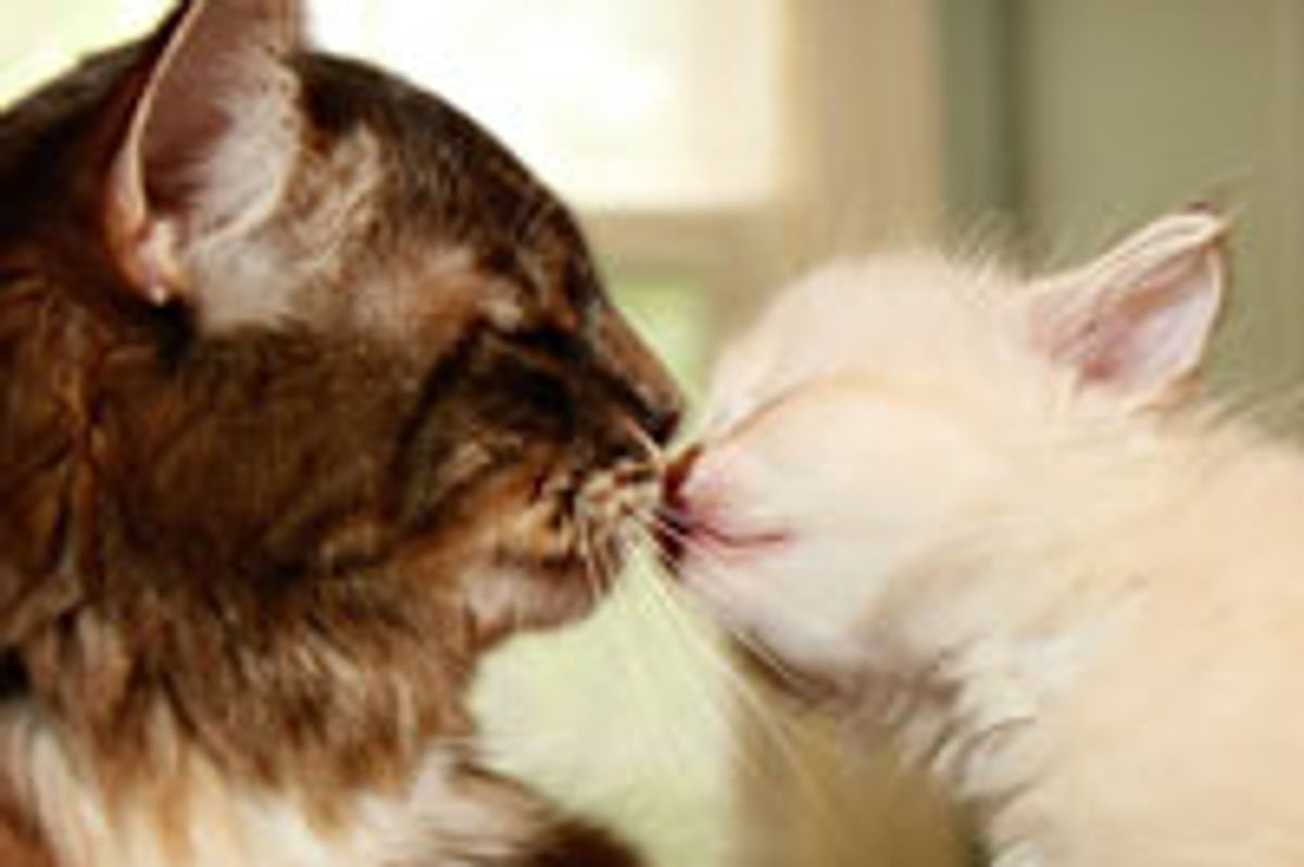 Mother and Daughter Love