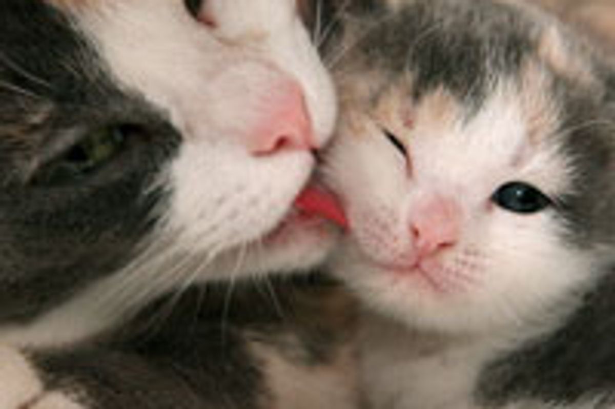 Like Mother Like Daughter