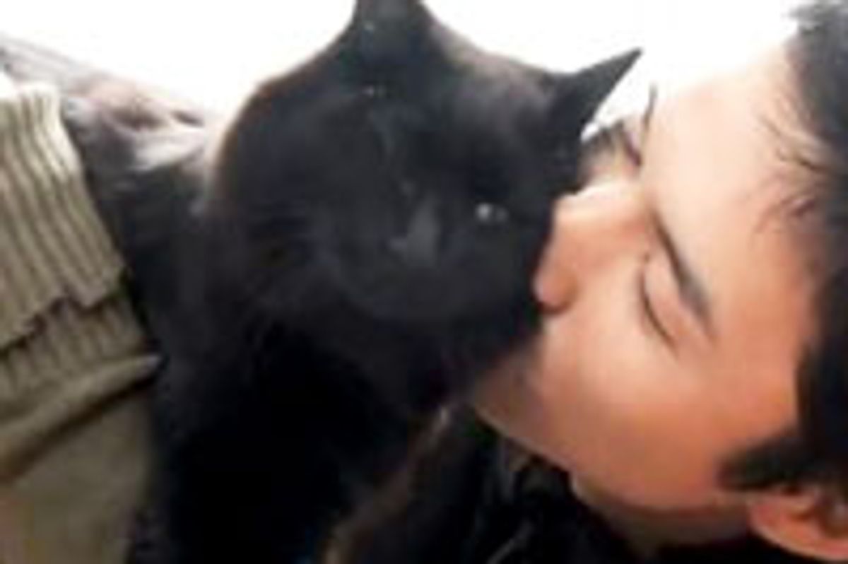 Cats Give Hooman Dad Love, Kisses and Headbumps