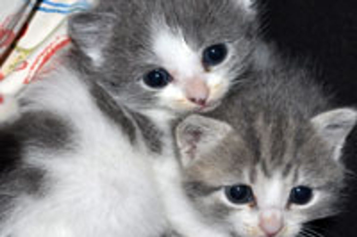 You Are My Cuddle Puddle Friend