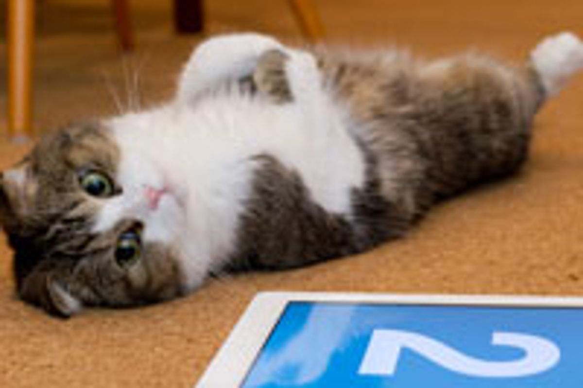 Kitty and His New Toy, iPad