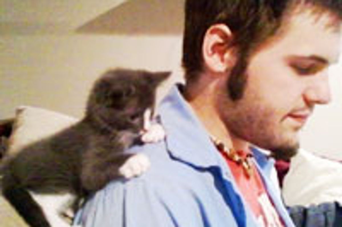 Kitty Helps Human Dad Study