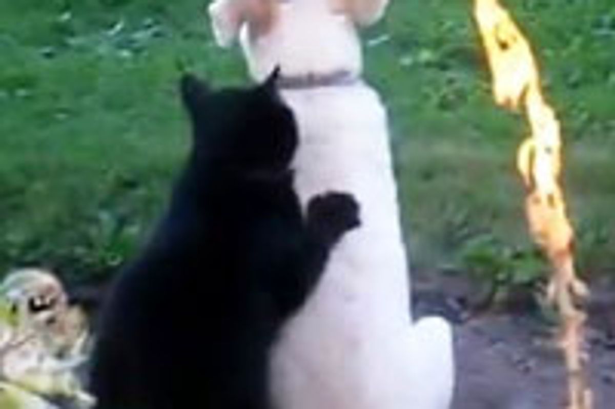 Doggie Gets Some Love