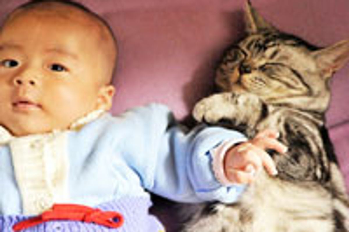 Kitty and His Little Human Friend