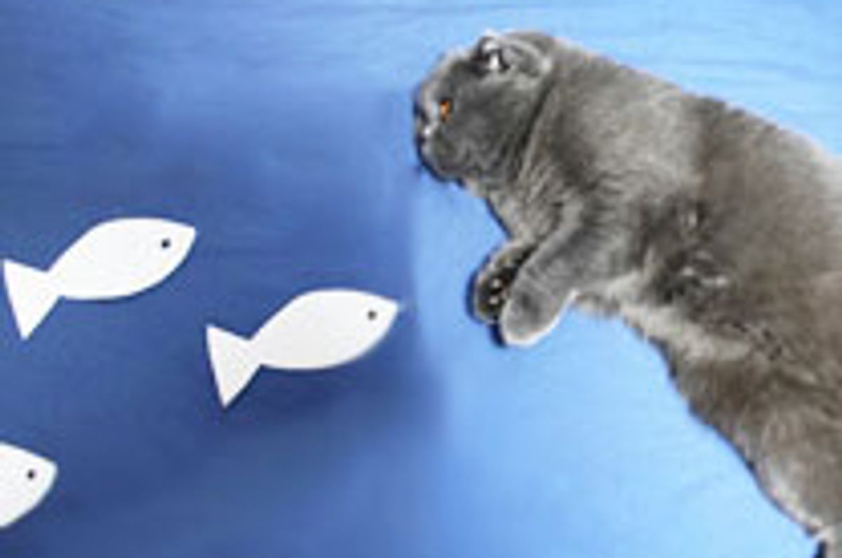 Kitty Inspires Human to Create Art