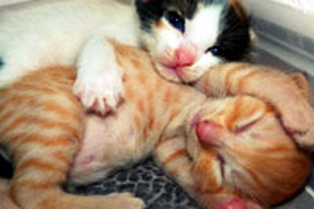 Don't be Sad, Here is a Hug for You!
