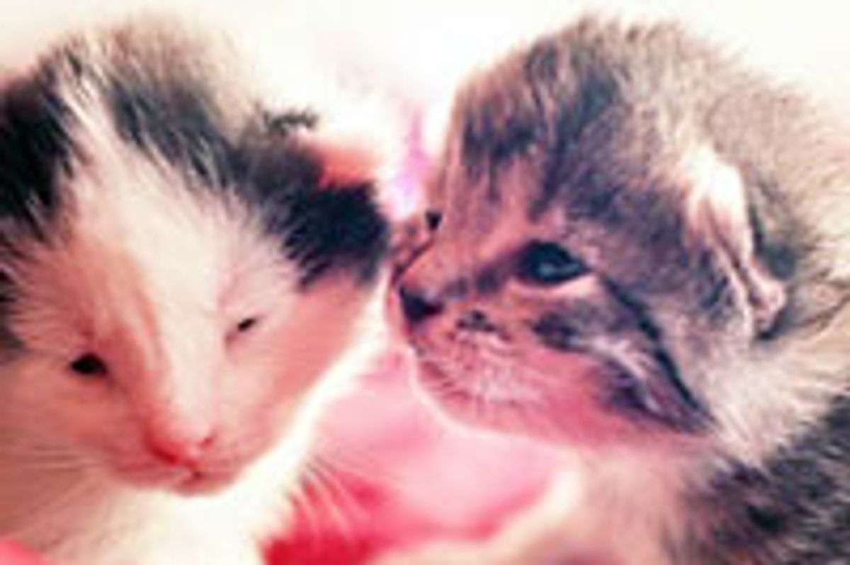 A Kiss Will Fix It!