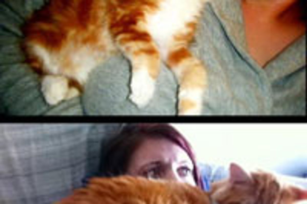 Shoulder Kitty Then and Now