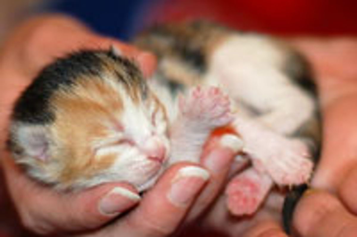 Shhh.. Do Not Disturb!