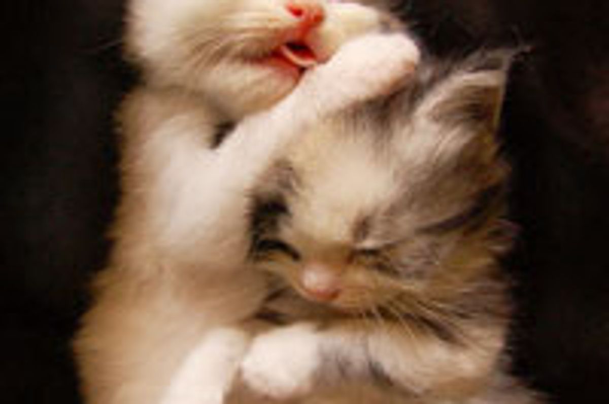 Don't Worry! You are Safe with Me!