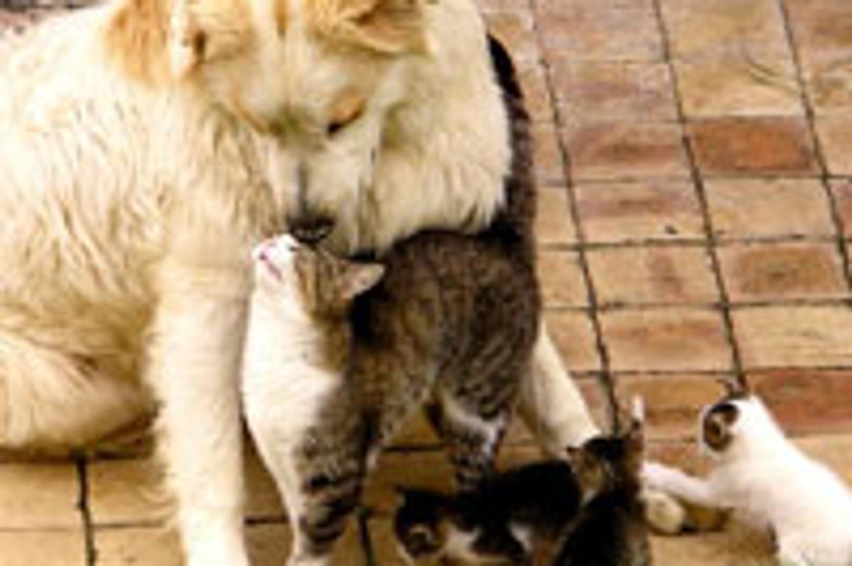 Family
