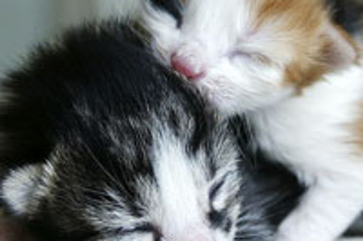 Bad Day? Here I Fix It!