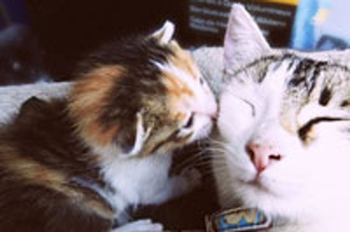 Need a Happy? Here I Give You!