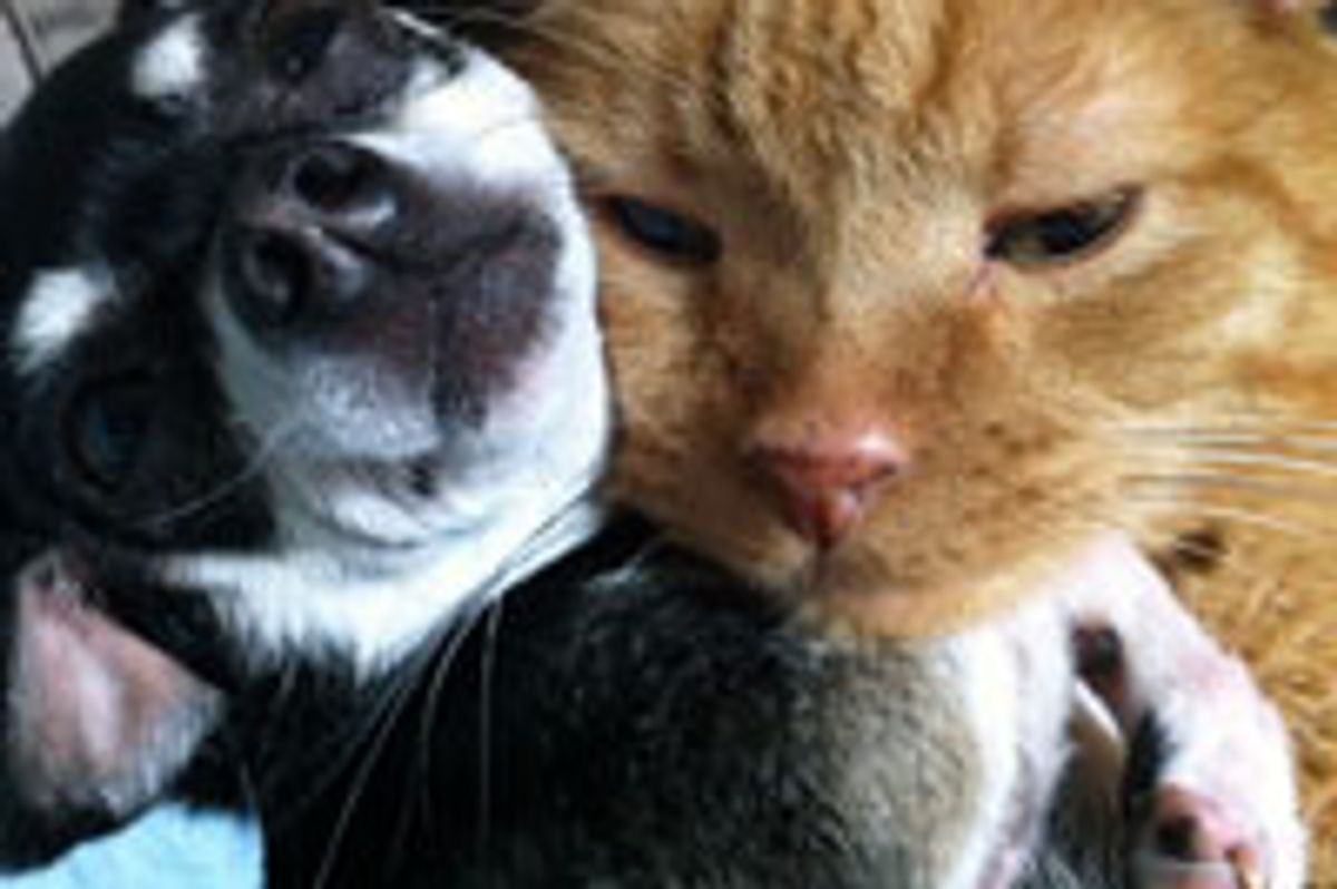 You are My Puppy! You are Safe with Me!