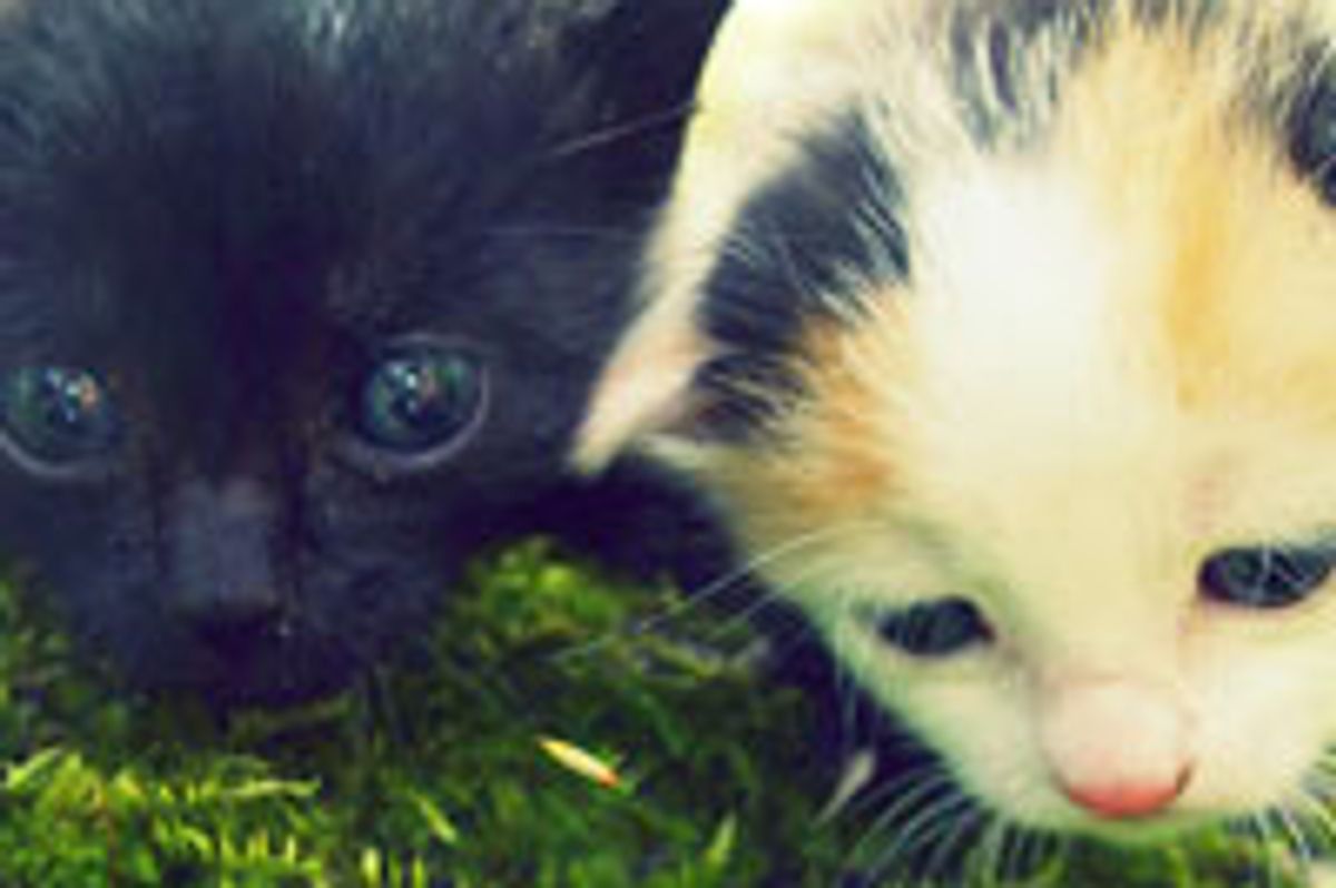 Inseparable Furiends, Then and Now!