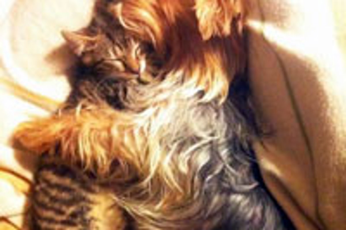 Cuddle Buddies