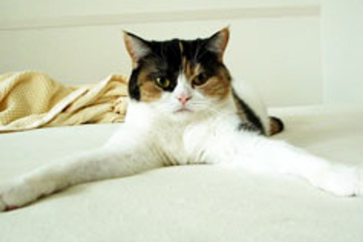 I Love You This Much!